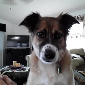 Meet your Posher, Roger